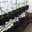 Photos des clients 2 de 4