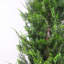 120cm Faux Tree in Pot Liner