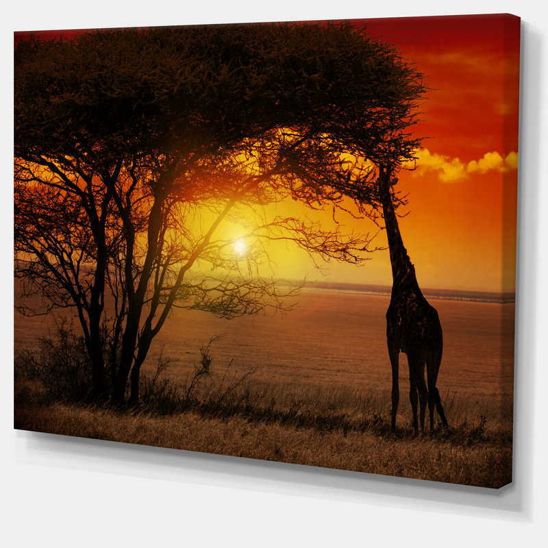 Typique coucher de soleil africain avec girafe - reproduction de photo sur toile tendue, H 16 po x l 32 po x P 1 po