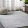 Modern Persian Vintage Medallion Gray Rug