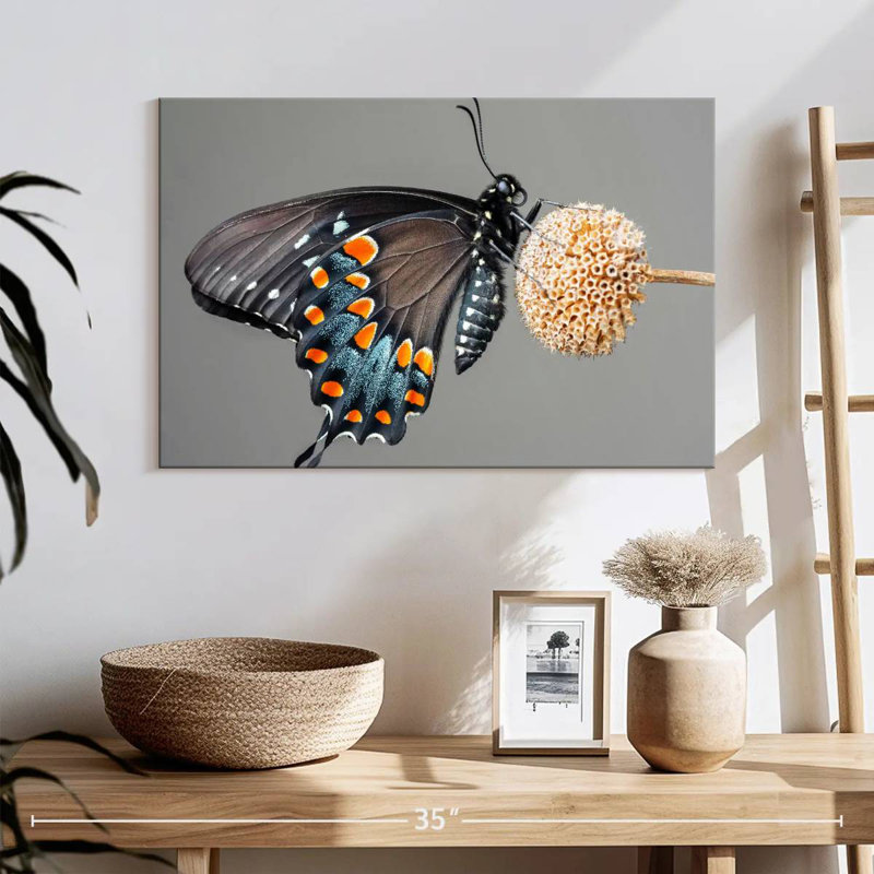 Papillon machaon noir Brampt, H 16 po x l 24 po