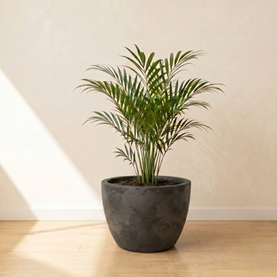 ECOBO Eco-Friendly Round Pot Planter, VicenzaIndoor/Outdoor use,Four Season Use
