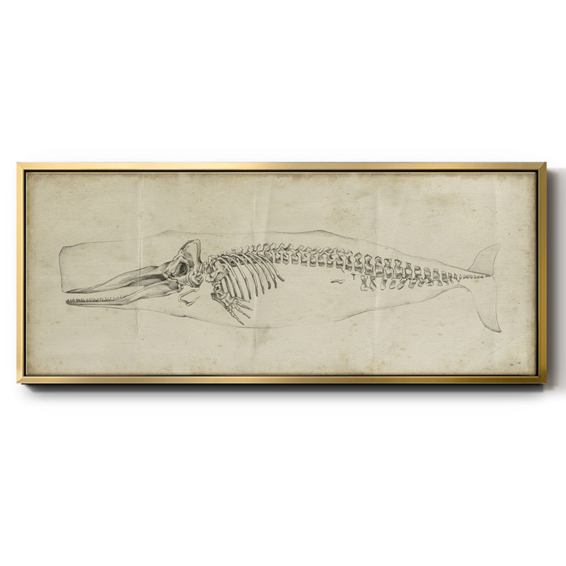 Whale Study II - toile encadrée, H 12 po x l 30 po