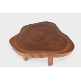 Solid Wood Coffee Table