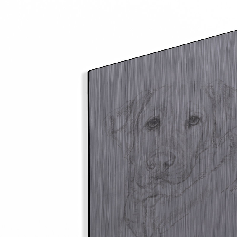 «Labrador» par Barbara Keith, H 16 po x l 12 po