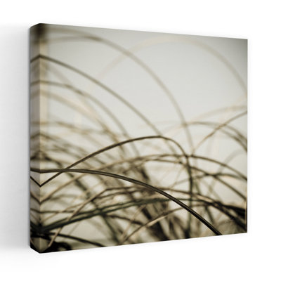 Beach Grass I, art côtier