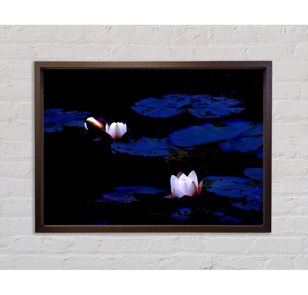 Water Lily On - Einzelner Bilderrahmen Kunstdrucke auf Leinwand