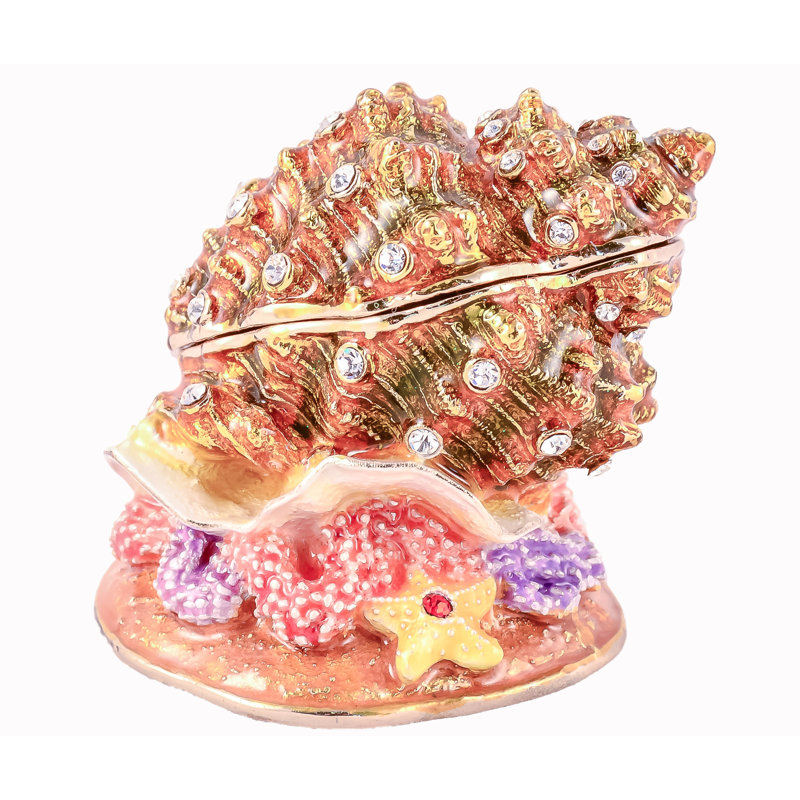 Boîte de trinket conch shell