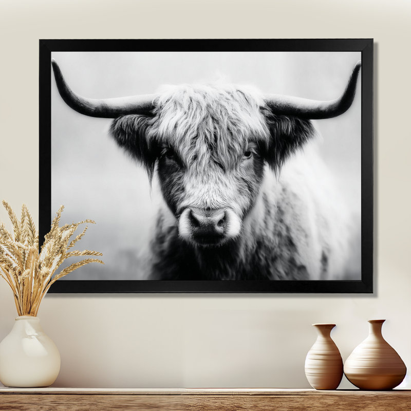 Highland Cow, photographie en Écosse, reproduction d'art sur toile encadrée, H 34 po x l 44 po, Picture Framed, Noir