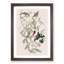 Rose-Breasted Grosbeak by John James Audubon - Picture Frame Graphic Art Print-55610602-55610603
