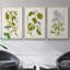 Encre Jungle I, ensemble de 3 toiles encadrées sur toile-97792728-97792735