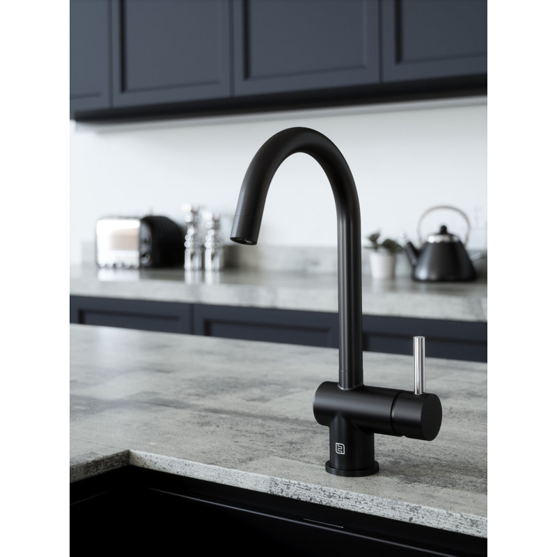 Belfry Kitchen Astoria Kitchen Faucet, Chrome/Chrome