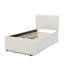 Lit simple Hund Trundle-130076202-130076204