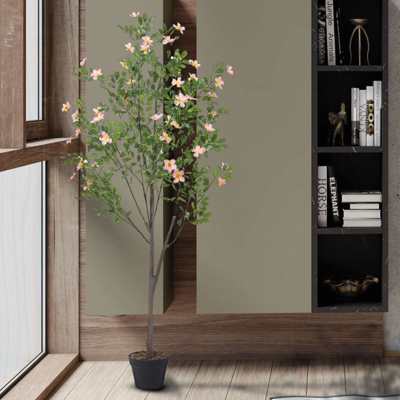 165cm Plant