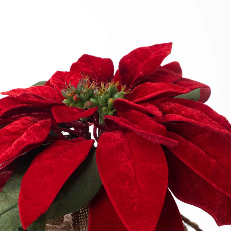 Arrangements floraux de poinsettias en pot