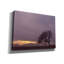 «Field» par PhotoINC Studio-705298968