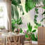 Auvent tropical-111736205