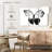 Black And White Butterfly-107992733