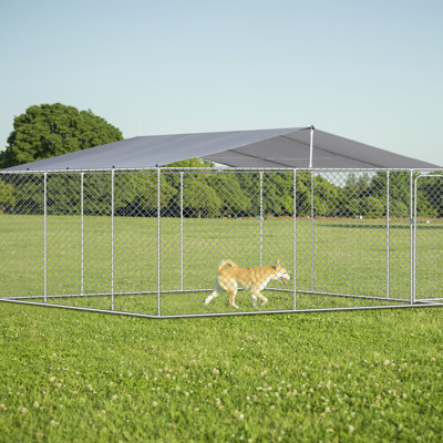 Chenil d'extérieur pour chien avec auvent - 181 po x 181 po x 69,67 po, très grand pour chiens, feu, protégé, loquet verrouillable à charnière, assemblage facile, cage imperméable en fer argenté, poignée anti-feu,