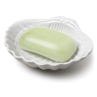 Shell Trinket Or Soap Dish