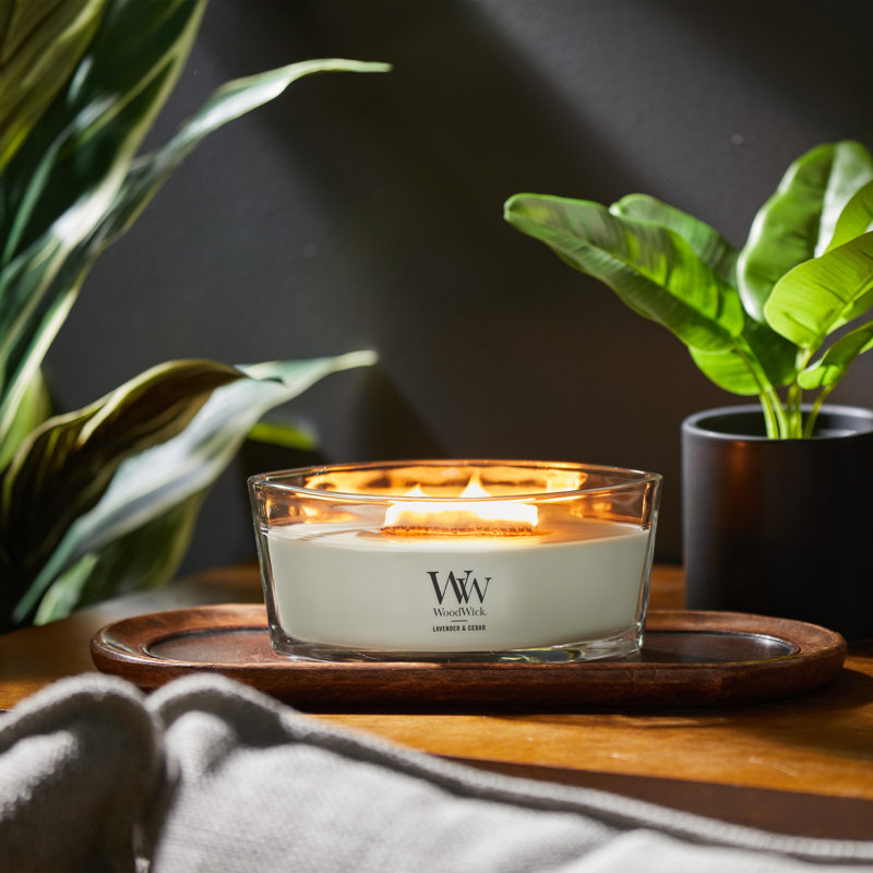 WoodWick® Cinnamon Chai Ellipse Candle, Light Gray