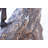 Remington replica Mountain Man bronze statue -  Size: 10"L x 4"W x 15"H. 