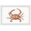 «Orange King Crab», reproduction encadrée-166963752