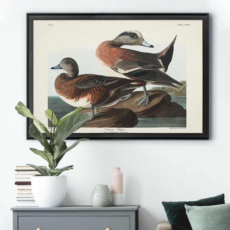 American Widgeon - reproduction d'art sur toile encadrée, H 18,5 po x l 24,5 po x P 1,5 po, Noir