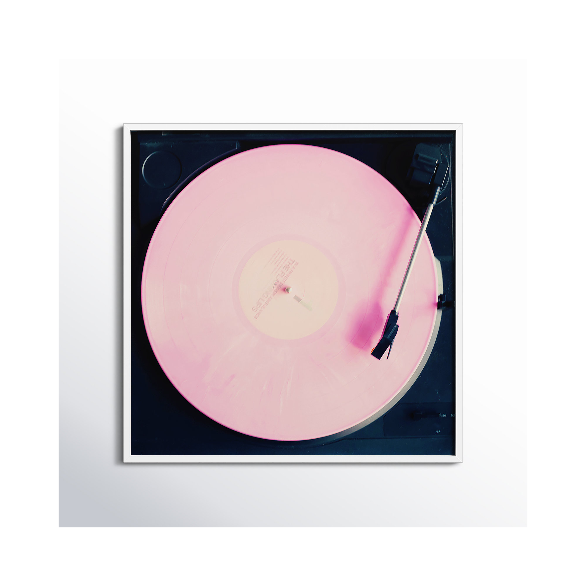 Pink Record by Caroline Mint, White, 41.25" H x 41.25" W x 0.88" D