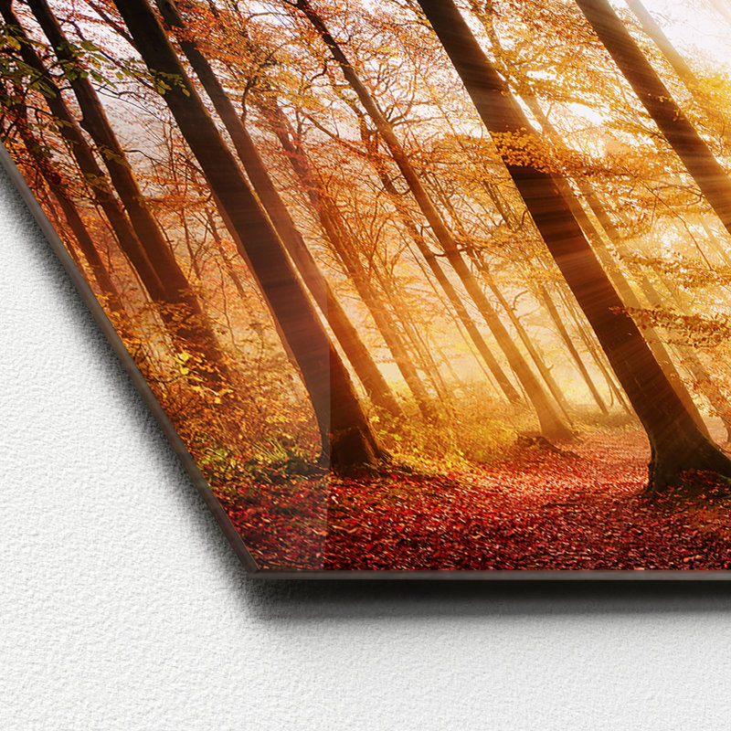Autumn Lake - No Frame Print on Glass, 50cm H x 125cm W x 1.4cm D, Glass