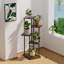 Plant Stand