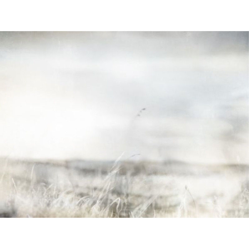 Warm Meadow II Print by Elena Carlie, Glass Coat, 24" H x 32" W x 1.5" D