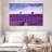 Alvord Valensole Lavender Fields-107704297