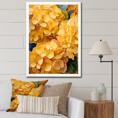 Linzie " Yellow Hydrangea Golden Radiance "
