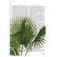 « fan palm i », impression sur toile-1727851686-1665673626-1665673630