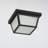 2-Light Flush Mount Ceiling Light