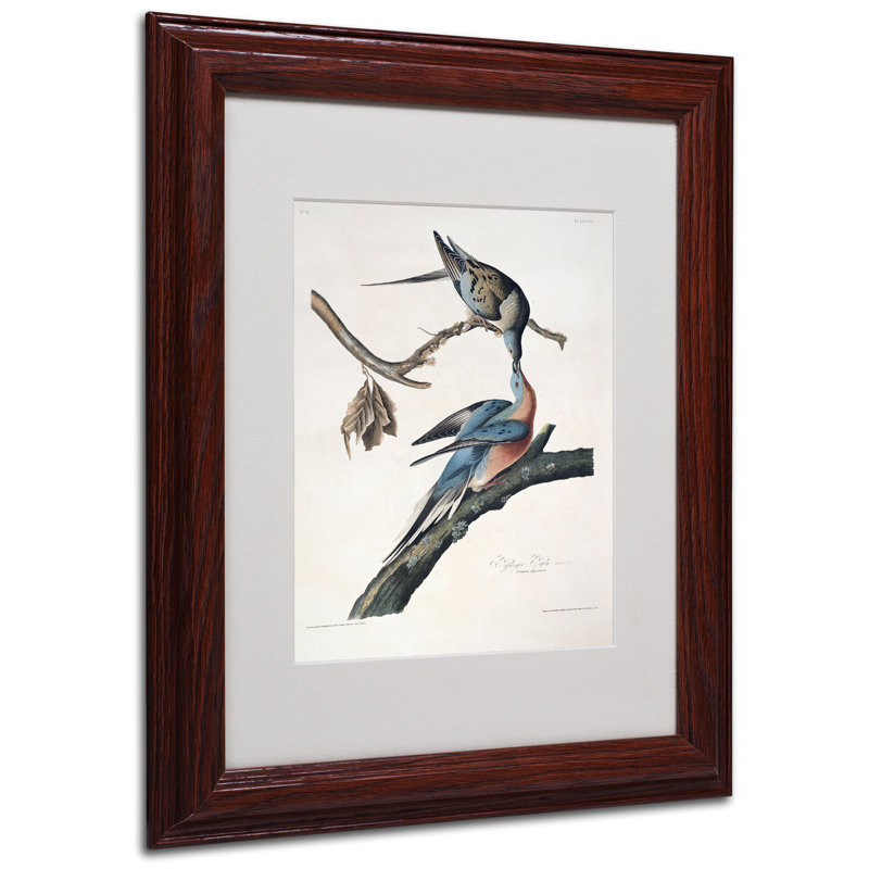 Passager Pigeon par John James Audubon - reproduction d'art sur toile, H 14 po x l 11 po x P 0,5 po, Brun