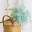 Arrangement floral Baby's Breath-1070477551-1070477539