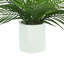 Outdoor UV Rated Palm in Fiberstone Pot