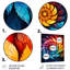 Fractal Colorfulfloral Spiral III - impression d'art mural en métal fractal-1733167763