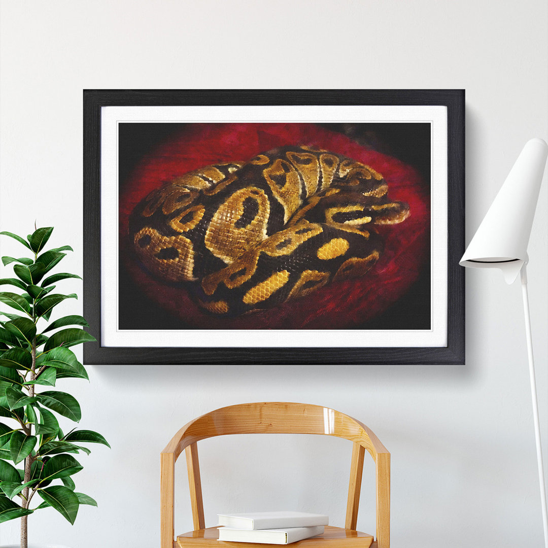 Python Snake - Framed Print