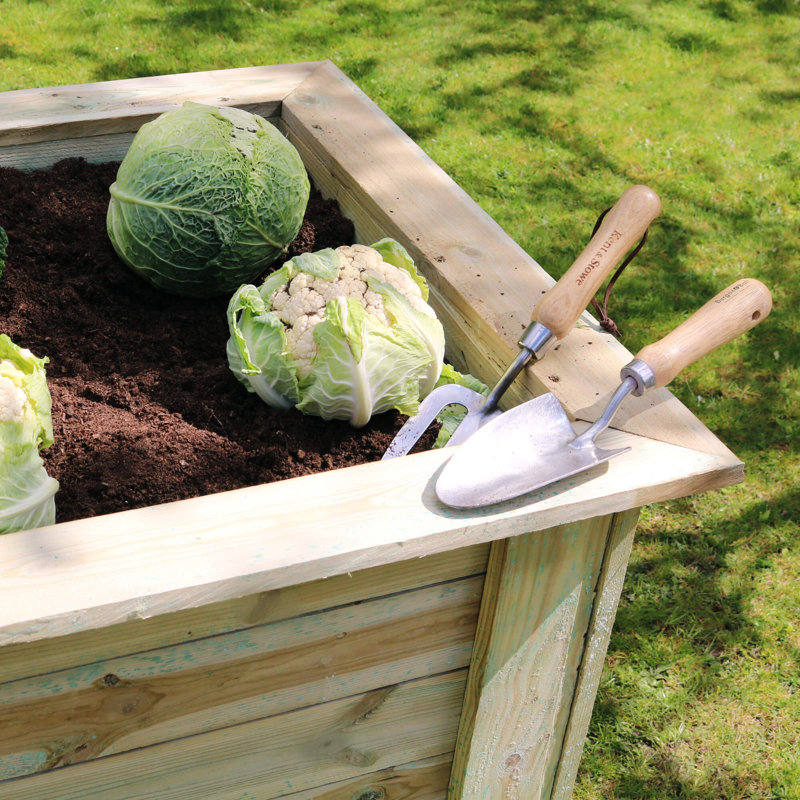 Angelo Wood Raised Garden Bed