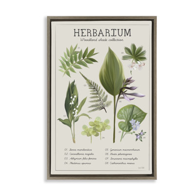 Herbarium Woodland Shade Collection Floating Frame, design by House Fenway