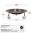 18" Classic  Copper Birdbath with Short Stand
