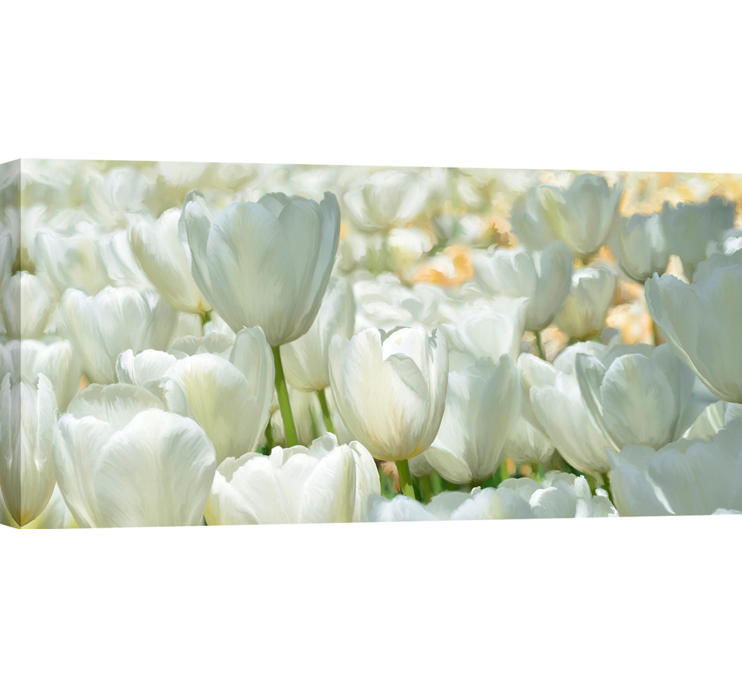 Leinwandbild Field Of White Tulips von Luca Villa