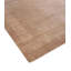 Oriental Area Rug in Beige