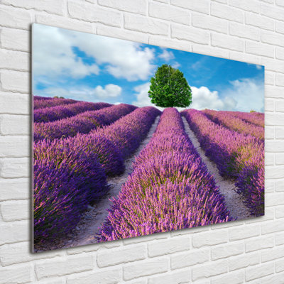 Lavender Field - No Frame Print on Glass