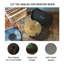 Tourne-disque Discovery-59680418