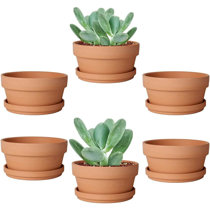 Terracotta Plant Pots (Round), Pots for Plants, Clay Pots for Plants,  Flower Pot, Earthen Terracotta Pots for Planting, Round Flower Pots for  Home Decoration, Clay Pots for Planting (14x10x9 Cm) - Gachwala