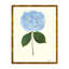 Pressed Hydrangea Print by Sandy Whitaker-1424471877